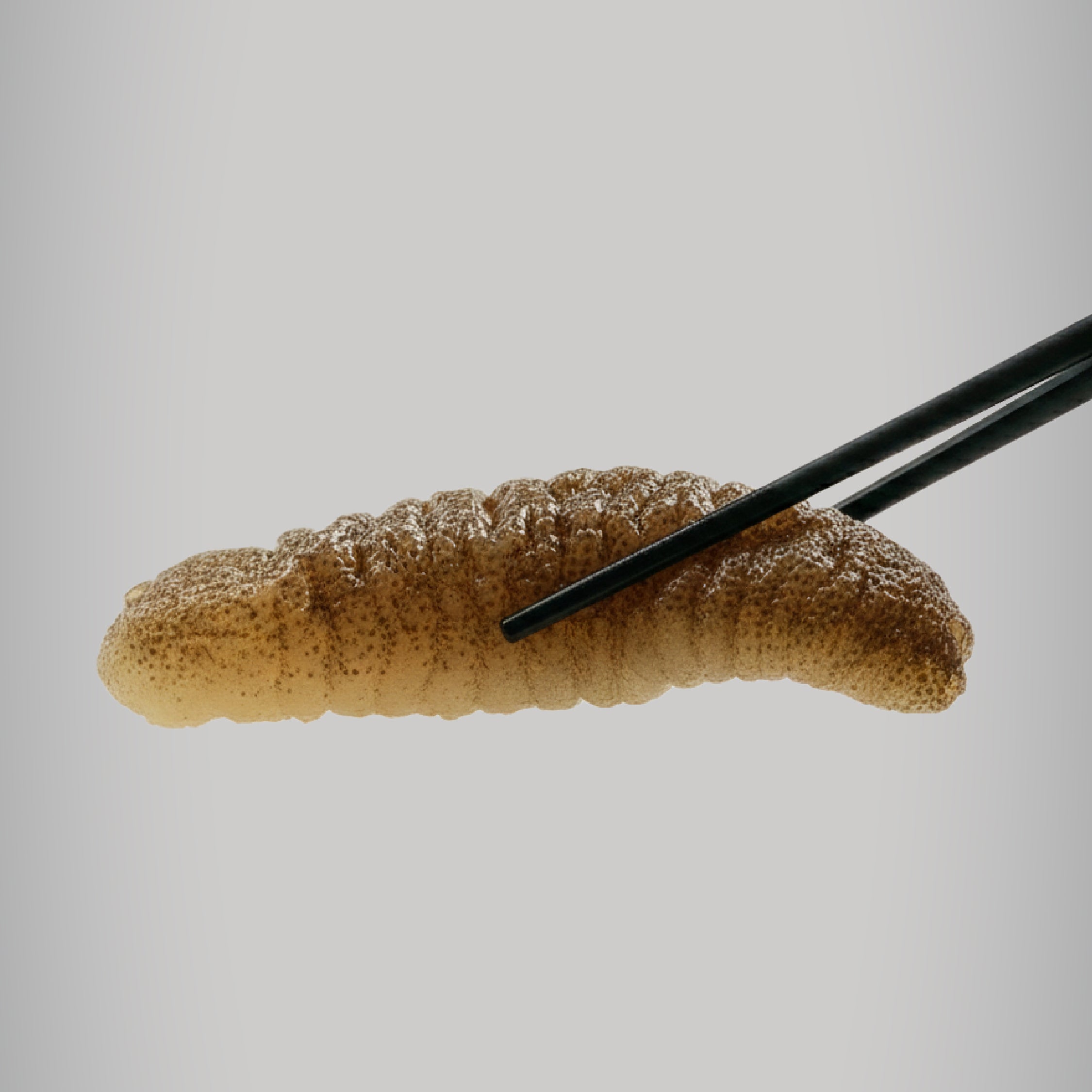 Poon Choy Bundle of 10